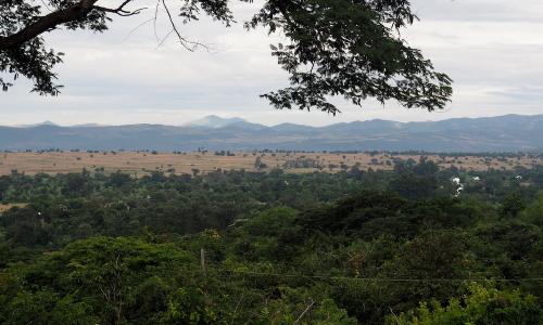 Fotos Südafrika 23 T2 2